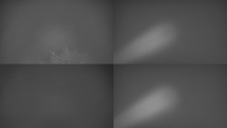 Sdružený snímek Bludný