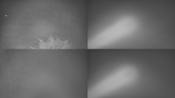 Sdružený snímek Bludný