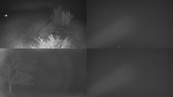 Sdružený snímek Bludný