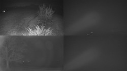 Sdružený snímek Bludný