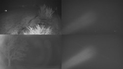 Sdružený snímek Bludný