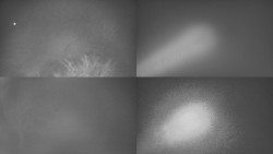 Sdružený snímek Bludný