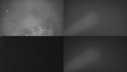 Sdružený snímek Bludný