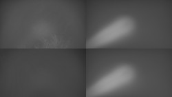 Sdružený snímek Bludný