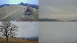 Sdružený snímek Bludný