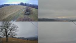 Sdružený snímek Bludný