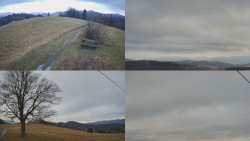 Sdružený snímek Bludný