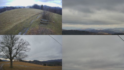 Sdružený snímek Bludný