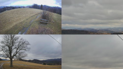 Sdružený snímek Bludný