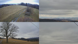 Sdružený snímek Bludný