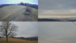 Sdružený snímek Bludný