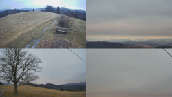 Sdružený snímek Bludný