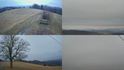 Sdružený snímek Bludný