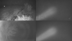 Sdružený snímek Bludný