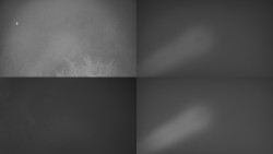 Sdružený snímek Bludný