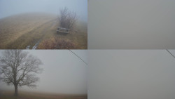 Sdružený snímek Bludný