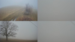 Sdružený snímek Bludný