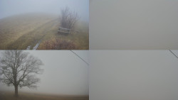 Sdružený snímek Bludný