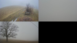 Sdružený snímek Bludný