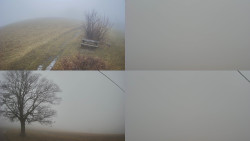 Sdružený snímek Bludný