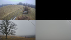 Sdružený snímek Bludný