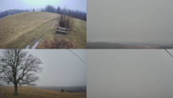 Sdružený snímek Bludný