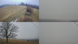 Sdružený snímek Bludný