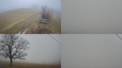 Sdružený snímek Bludný