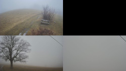 Sdružený snímek Bludný