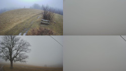 Sdružený snímek Bludný