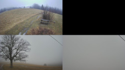 Sdružený snímek Bludný