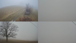 Sdružený snímek Bludný