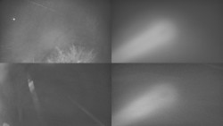 Sdružený snímek Bludný