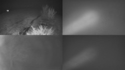 Sdružený snímek Bludný