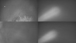 Sdružený snímek Bludný