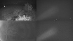 Sdružený snímek Bludný