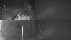 Sdružený snímek Bludný