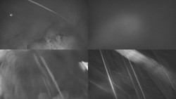 Sdružený snímek Bludný