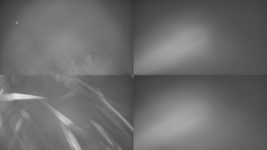 Bludný - Rajnochovice Troják - Sdružený snímek Bludný - 12.2.2026 v 00:01