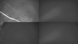 Sdružený snímek Bludný