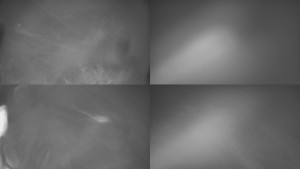 Bludný - Rajnochovice Troják - Sdružený snímek Bludný - 12.2.2026 v 02:31