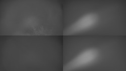 Sdružený snímek Bludný