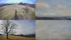 Sdružený snímek Bludný