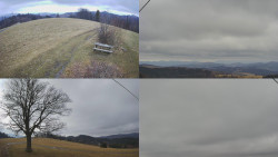 Sdružený snímek Bludný