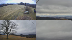 Sdružený snímek Bludný