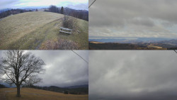 Sdružený snímek Bludný