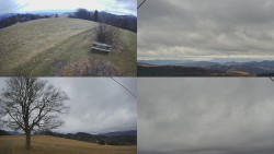 Sdružený snímek Bludný