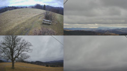 Sdružený snímek Bludný