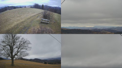 Sdružený snímek Bludný