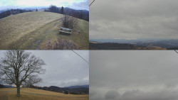 Sdružený snímek Bludný